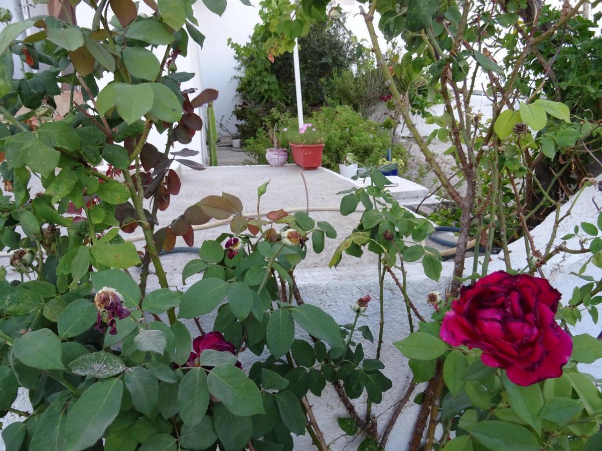 Andreas Studio With Private Parcking Apartment Triovasalos Ngoại thất bức ảnh